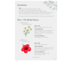 🎁 Free eBook Gift "Herbal Tea Benefits"