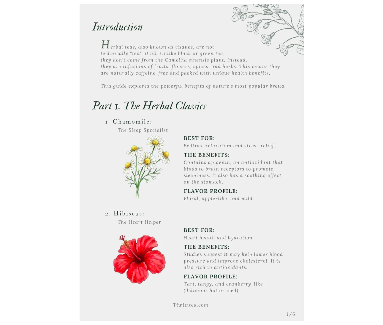🎁 Free eBook Gift "Herbal Tea Benefits"